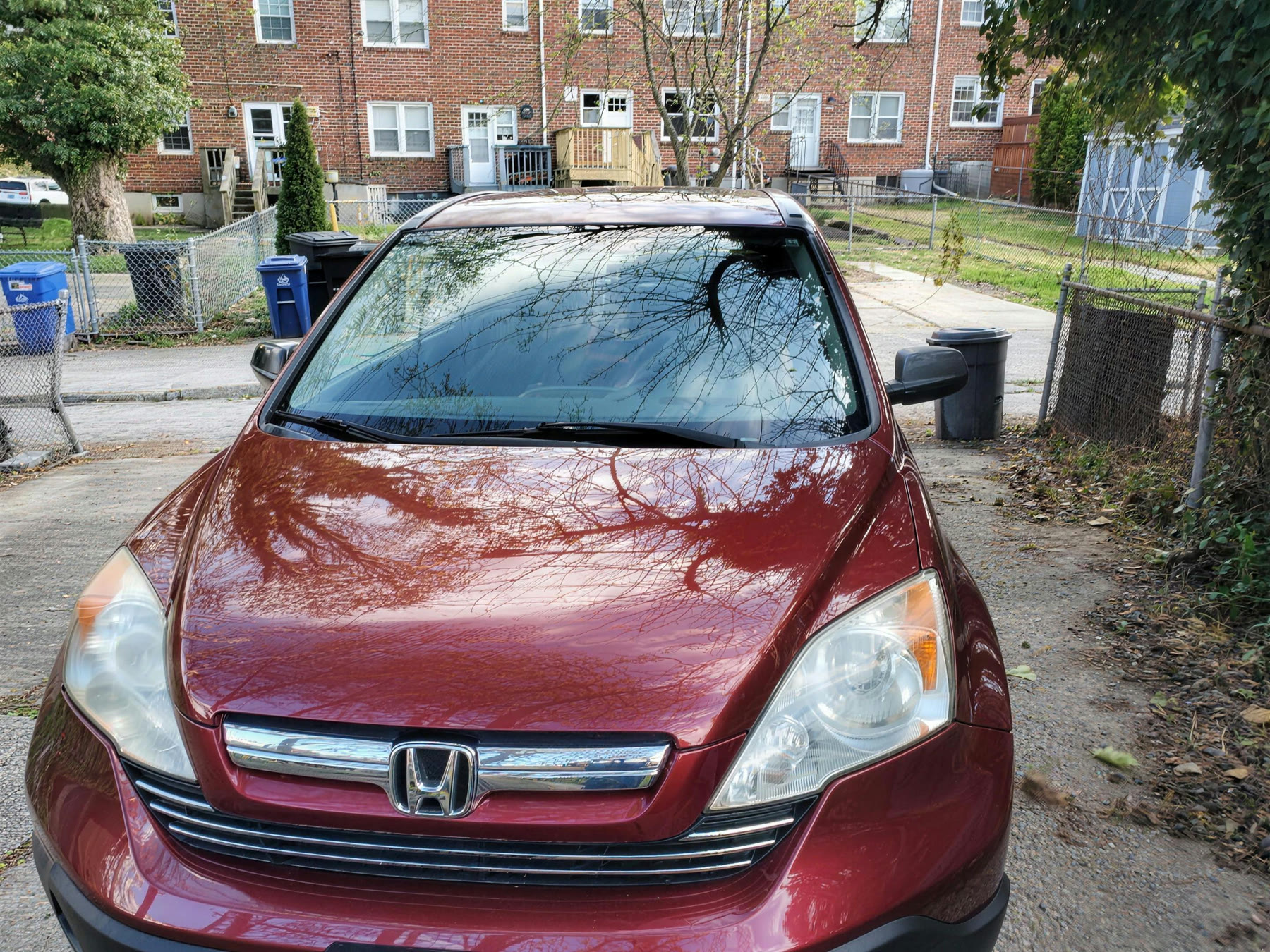 Hood and grille of a 2008 Honda CR-V after paint enhancement, reflecting the trees above it
